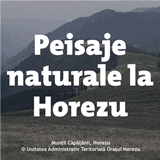 Peisaje naturale la Horezu