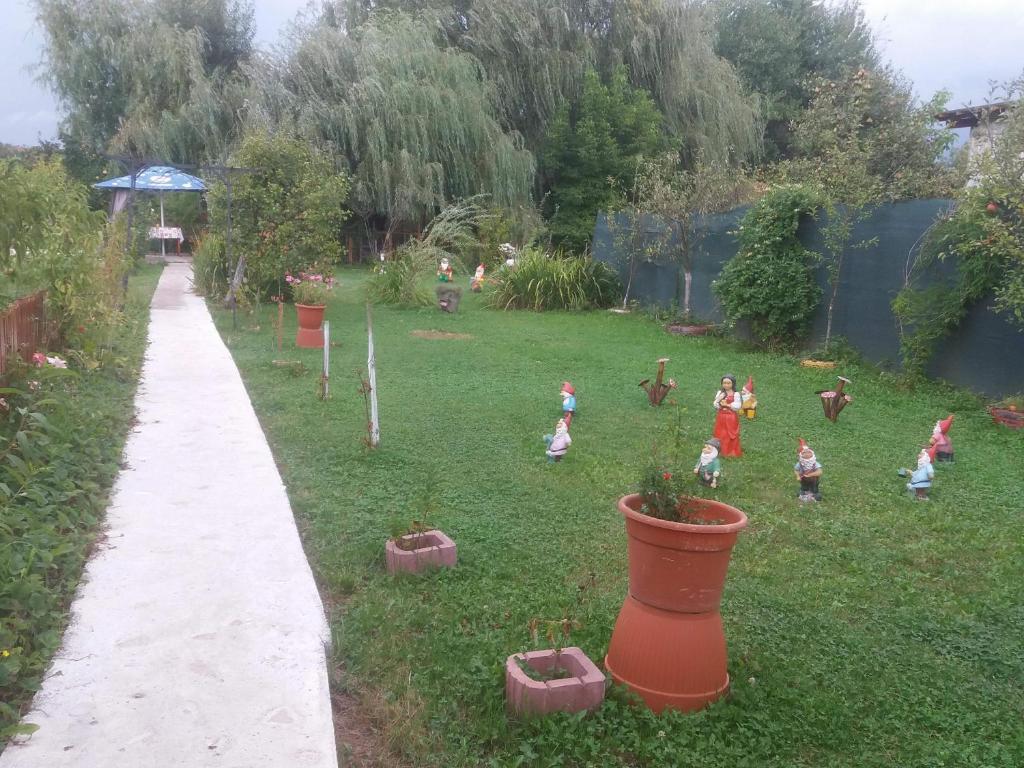 Casa de vacanta ERISIA