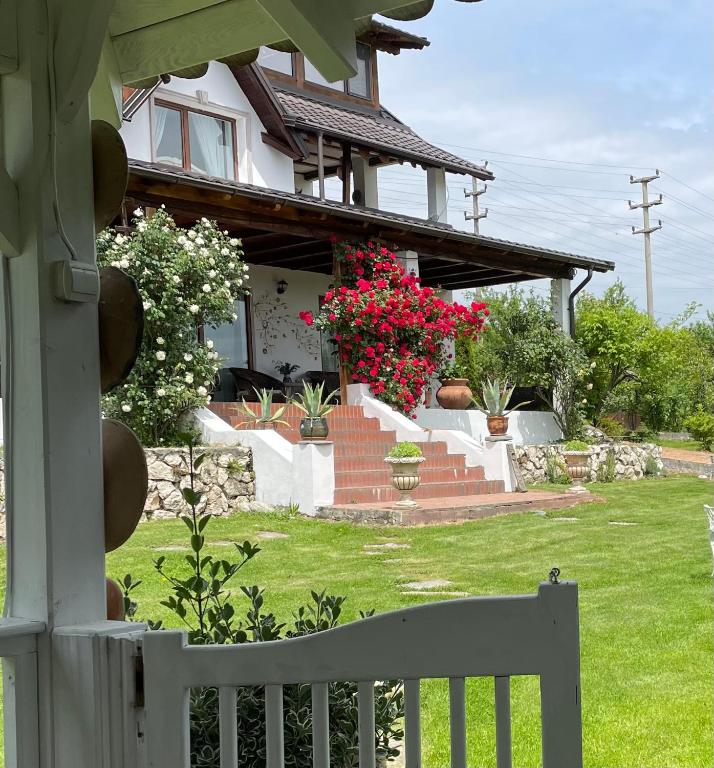 Pensiunea CASA PALOSI