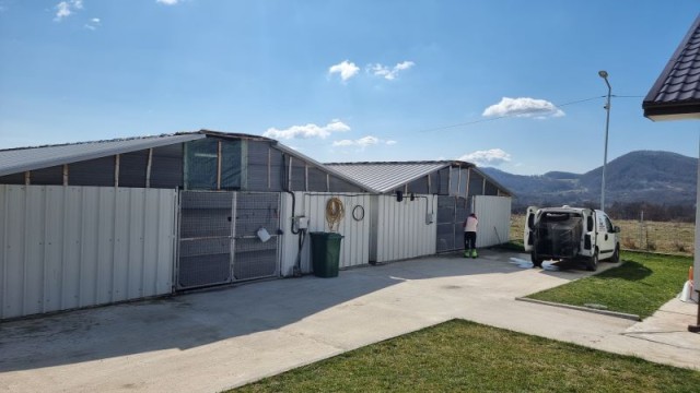 Construire adăpost pentru câinii fără stăpân în orașul Horezu, județul Vâlcea