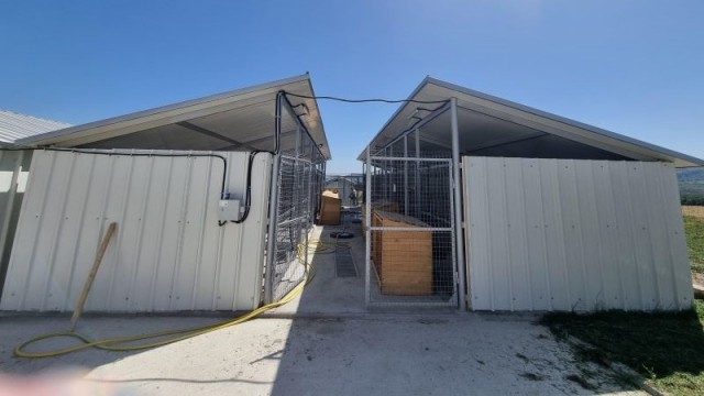 Construire adăpost pentru câinii fără stăpân în orașul Horezu, județul Vâlcea